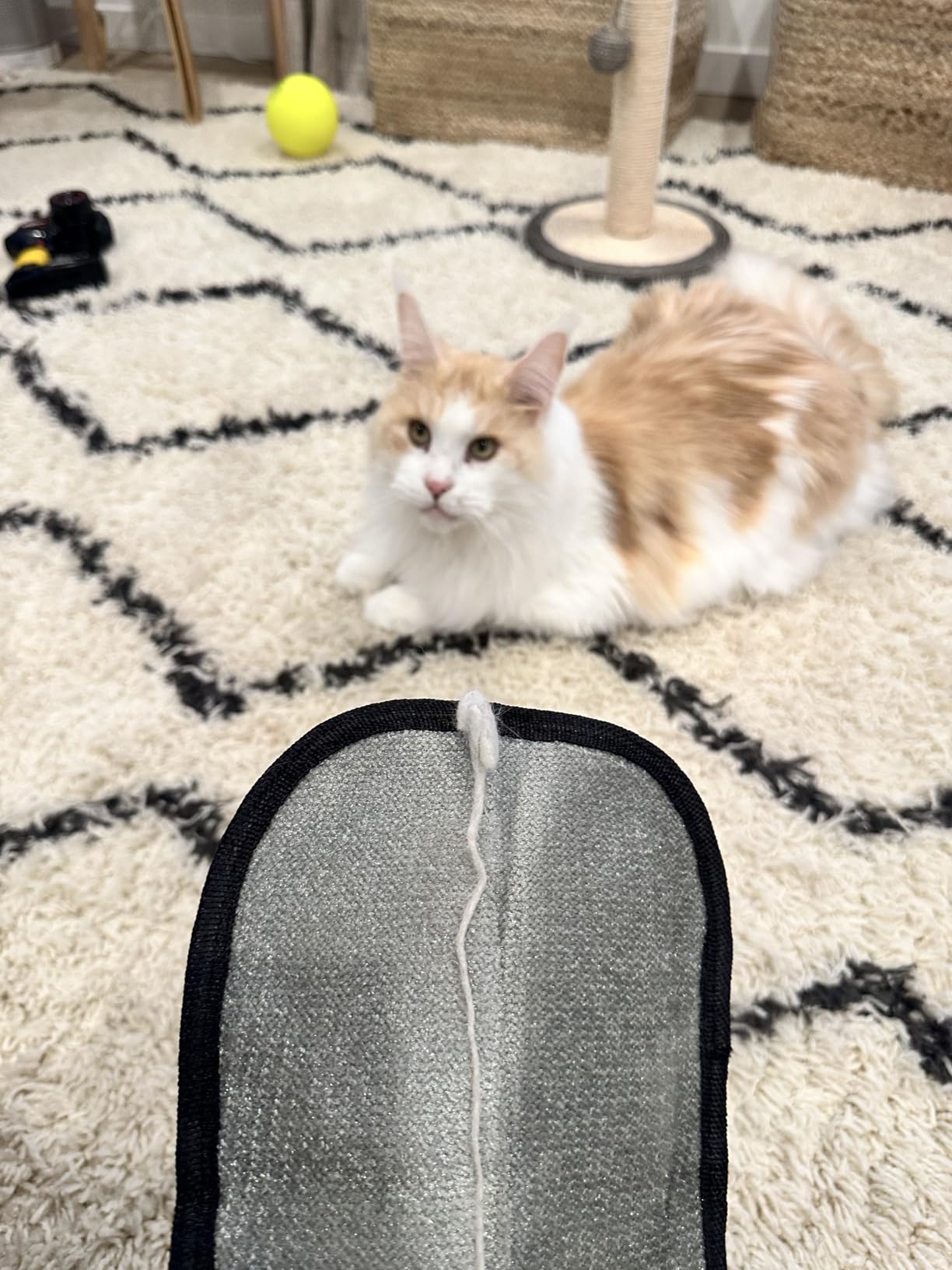 FurLift Pet Hair Remover Glove